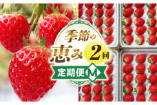 季節の恵み2回定期便M | 果物 フルーツ 青果 青果物 デザート スイーツ 果実 旬 季節 旬の果物 季節の果物 生鮮食品 生鮮 贈答 贈り物 ギフト プレゼント おすそ分け お祝い 内祝い ご褒美 人気 グルメ お取り寄せ 特産品 特産 国産 香川県 三木町 |_mk165-t013