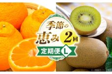 季節の恵み2回定期便L | 果物 フルーツ 定期便 果物定期便 フルーツ定期便 旬の果物 旬の定期便 旬のフルーツ 定期便 旬の果物定期便 定期 人気 おすすめ 厳選 ギフト 贈答 贈り物 ご褒美 デザート スイーツ 香川県 三木町 |_mk165-t012