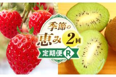 季節の恵み2回定期便R | 果物 フルーツ 青果 青果物 デザート スイーツ 果実 旬 季節 旬の果物 季節の果物 生鮮食品 生鮮 贈答 贈り物 ギフト プレゼント おすそ分け お祝い 内祝い ご褒美 人気 グルメ お取り寄せ 特産品 特産 国産 香川県 三木町 |_mk165-t037