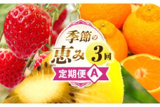 季節の恵み3回定期便A | 果物 フルーツ 青果 青果物 デザート スイーツ 果実 旬 季節 旬の果物 季節の果物 生鮮食品 生鮮 贈答 贈り物 ギフト プレゼント おすそ分け お祝い 内祝い ご褒美 人気 グルメ お取り寄せ 特産品 特産 国産 香川県 三木町 |_mk165-t016