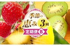 季節の恵み3回定期便B | 果物 フルーツ 青果 青果物 デザート スイーツ 果実 旬 季節 旬の果物 季節の果物 生鮮食品 生鮮 贈答 贈り物 ギフト プレゼント おすそ分け お祝い 内祝い ご褒美 人気 グルメ お取り寄せ 特産品 特産 国産 香川県 三木町 |_mk165-t017