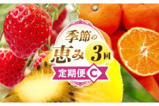 季節の恵み3回定期便C | 果物 フルーツ 青果 青果物 デザート スイーツ 果実 旬 季節 旬の果物 季節の果物 生鮮食品 生鮮 贈答 贈り物 ギフト プレゼント おすそ分け お祝い 内祝い ご褒美 人気 グルメ お取り寄せ 特産品 特産 国産 香川県 三木町 |_mk165-t018
