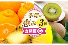 季節の恵み3回定期便G | 果物 フルーツ 青果 青果物 デザート スイーツ 果実 旬 季節 旬の果物 季節の果物 生鮮食品 生鮮 贈答 贈り物 ギフト プレゼント おすそ分け お祝い 内祝い ご褒美 人気 グルメ お取り寄せ 特産品 特産 国産 香川県 三木町 |_mk165-t022
