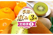 季節の恵み3回定期便I | 果物 フルーツ 青果 青果物 デザート スイーツ 果実 旬 季節 旬の果物 季節の果物 生鮮食品 生鮮 贈答 贈り物 ギフト プレゼント おすそ分け お祝い 内祝い ご褒美 人気 グルメ お取り寄せ 特産品 特産 国産 香川県 三木町 |_mk165-t024