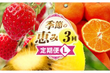 季節の恵み3回定期便L | 果物 フルーツ 青果 青果物 デザート スイーツ 果実 旬 季節 旬の果物 季節の果物 生鮮食品 生鮮 贈答 贈り物 ギフト プレゼント おすそ分け お祝い 内祝い ご褒美 人気 グルメ お取り寄せ 特産品 特産 国産 香川県 三木町 |_mk165-t043