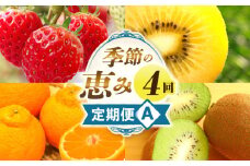 季節の恵み4回定期便A | 果物 フルーツ 青果 青果物 デザート スイーツ 果実 旬 季節 旬の果物 季節の果物 生鮮食品 生鮮 贈答 贈り物 ギフト プレゼント おすそ分け お祝い 内祝い ご褒美 人気 グルメ お取り寄せ 特産品 特産 国産 香川県 三木町 |_mk165-t025