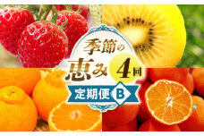 季節の恵み4回定期便B | 果物 フルーツ 青果 青果物 デザート スイーツ 果実 旬 季節 旬の果物 季節の果物 生鮮食品 生鮮 贈答 贈り物 ギフト プレゼント おすそ分け お祝い 内祝い ご褒美 人気 グルメ お取り寄せ 特産品 特産 国産 香川県 三木町 |_mk165-t026