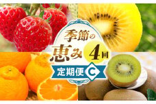季節の恵み4回定期便C | 果物 フルーツ 青果 青果物 デザート スイーツ 果実 旬 季節 旬の果物 季節の果物 生鮮食品 生鮮 贈答 贈り物 ギフト プレゼント おすそ分け お祝い 内祝い ご褒美 人気 グルメ お取り寄せ 特産品 特産 国産 香川県 三木町 |_mk165-t027