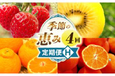 季節の恵み4回定期便H | 果物 フルーツ 青果 青果物 デザート スイーツ 果実 旬 季節 旬の果物 季節の果物 生鮮食品 生鮮 贈答 贈り物 ギフト プレゼント おすそ分け お祝い 内祝い ご褒美 人気 グルメ お取り寄せ 特産品 特産 国産 香川県 三木町 |_mk165-t046
