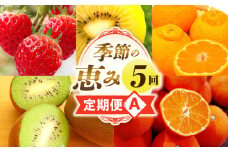 季節の恵み5回定期便A | 果物 フルーツ 青果 青果物 デザート スイーツ 果実 旬 季節 旬の果物 季節の果物 生鮮食品 生鮮 贈答 贈り物 ギフト プレゼント おすそ分け お祝い 内祝い ご褒美 人気 グルメ お取り寄せ 特産品 特産 国産 香川県 三木町 |_mk165-t031
