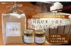 特別栽培米「小蓑米」と ご飯のおとも（にんにく味噌とやみつきメンマセット） | お米 ご飯 ごはん 白米 にんにく 味噌 メンマ お供 朝ごはん 香川県 三木町 プレゼント 贈り物 国産 ブランド米 |_mk156-001