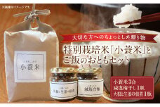 特別栽培米「小蓑米」と ご飯のおとも（減塩梅干しと大根と生姜の佃煮セット） | お米 ご飯 ごはん 梅干し 梅 大根 生姜 佃煮 醤油 白米 精米 朝ごはん 香川県 三木町 プレゼント 贈り物 国産 ブランド米|_mk156-002