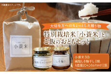 特別栽培米「小蓑米」と ご飯のおとも（減塩しそ梅干しと大根葉とじゃこのふりかけセット） | お米 ご飯 ごはん  しそ梅干し 梅 大根葉 ちりめん じゃこ ふりかけ お供 香川県 三木町 プレゼント 贈り物 国産 ブランド米 朝ごはん |_mk156-003