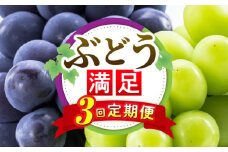 ぶどう満足 3回定期便 | フルーツ定期便 ぶどう 定期便 果物 フルーツ デザート ピオーネ シャインマスカット マスカット 果肉 スイーツ 甘い 国産 贈り物 贈答 プレゼント 期便 フルーツ定期便 人気 おすすめ 果物定期便 季節 旬 旬の果物 香川県 三木町 送料無料 |_mk006-t014