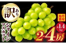 【先行受付】【2026年8月18日～10月20日配送】訳ありシャインマスカット 約1.4㎏入り　2～4房| シャインマスカット 訳あり マスカット ぶどう ブドウ 葡萄 果物 フルーツ 人気 香川 香川県 三木町 種なし 皮ごと食べられる ジューシー 糖度が高い 先行予約 季節限定 旬 おすすめ|_mk006-049-2