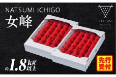 NATSUMI CHIGO 女峰 約1.8kg以上（2026年1月～6月配送） | スイーツ いちご ストロベリー 女峰 1kg以上 苺 冷蔵 フルーツ 旬 果物 香川県 デザート 青果物 贈答 プレゼント 贈り物 季節限定 旬 おすすめ |_mk060-001