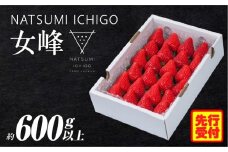 NATSUMI ICHIGO 女峰 約600g以上（2026年1月～6月配送）| いちご フルーツ 果物 果実 デザート スイーツ おすすめ 人気 贈答 贈り物 化粧箱 旬 旬の果物 旬のいちご ご褒美 ギフト 国産 果肉 果汁 香川県 三木町 送料無料|_mk060-002