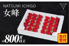 NATSUMI ICHIGO 女峰 約800g以上 プレミアムBOX【2026年1～6月配送】 | スイーツ いちご ストロベリー 女峰 苺 冷蔵 フルーツ 旬 果物 香川県 酸味 甘味 デザート 色 鮮やか 青果物 贈答 プレゼント 贈り物 旬 おすすめ |_mk060-004