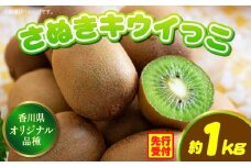 香川県オリジナルキウイフルーツ「さぬきキウイっこ」約1kg【香川県共通返礼品】 | キウイ キウイフルーツ 果物 フルーツ 青果 青果物 さぬきキウイっこ 果実 贈答 贈り物 ギフト 甘い 糖度が高い 季節のフルーツ 旬 おすすめ 香川県 三木町 |_mk006-053