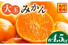 大玉みかん約4.5kg | 大玉みかん 大玉 みかん ミカン 蜜柑 オレンジ 柑橘 柑橘系 果物 フルーツ 青果 おすすめ お取り寄せ ギフト 香川県 三木町  |_mk006-055