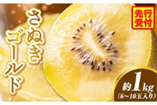 香川県オリジナルキウイフルーツ「さぬきゴールド」約1kg（6－10玉）【香川県共通返礼品】 | 果物 フルーツ 青果 青果物 キウイ さぬきゴールド デザート 果実 贈答 贈り物 ギフト 甘い 追熟 ジューシー 糖度が高い 季節のフルーツ 旬 おすすめ 香川県 三木町 |_mk006-052