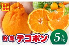 貯蔵デコポン約5kg(12～24玉)【香川県共通返礼品】 | デコポン 甘い 酸味 柑橘 柑橘系 オレンジ 果物 フルーツ 青果 デザート おすすめ 取り寄せ 香川県 三木町 |_mk006-043