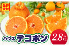 ハウスデコポン約2.8kg化粧箱 | デコポン 甘い 酸味 柑橘 柑橘系 果物 フルーツ 青果 デザート グルメ おすすめ 贈答 贈り物 贈答用 ギフト プレゼント 特産品 特産 取り寄せ 香川県 三木町 |_mk006-026