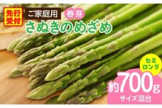 ご家庭用アスパラガス「さぬきのめざめ」(セミロング)春芽 サイズ混合約700g | 野菜 アスパラ アスパラガス さぬきのめざめ 家庭用 春 冷蔵 新鮮 香川県 三木町 セミロング おすすめ |_mk006-027