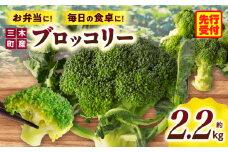  三木町産ブロッコリー 約2.2kg | ブロッコリー 野菜 食材 サラダ 料理 大きい 新鮮 生野菜 生鮮食品 栄養価が高い 冷蔵 おすすめ 香川県 三木町 |_mk006-037