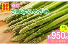 三木町産　香川オリジナルアスパラガス「さぬきのめざめ」　セミロング　春芽　約950ｇ | 野菜 アスパラ アスパラガス さぬきのめざめ 春 冷蔵 新鮮 香川県 三木町 セミロング おすすめ |_mk006-038