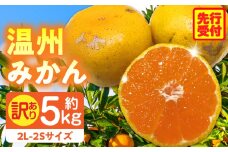 訳あり温州みかん約5kg（2L-2S） | みかん 温州みかん 果物 果実 訳あり 訳ありみかん 訳あり果物 訳ありフルーツ フルーツ 香川県 三木町 |_mk006-031