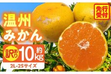 訳あり温州みかん約10kg（2L-2S) | みかん 温州みかん 果物 果実 訳あり 訳ありみかん 訳あり果物 訳ありフルーツ フルーツ 香川県 三木町 |_mk006-032