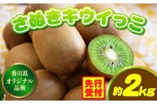 香川県オリジナルキウイフルーツ「さぬきキウイっこ」約2kg【香川県共通返礼品】 | キウイ キウイフルーツ 果物 フルーツ 青果 青果物 さぬきキウイっこ 果実 贈答 贈り物 ギフト 甘い 糖度が高い 季節のフルーツ 旬 おすすめ 香川県 三木町 |_mk006-042