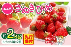【2026年発送分 先行受付】苺音クラフト〜加工用さぬきひめいちご約2kg | おすすめ 人気 果実 果肉 果物 フルーツ デザート 贈り物 苺 さぬきひめ 贈答 ご褒美 旬の果物 季節の果物 旬 季節 青果物 香川県 三木町  |_mk137-007