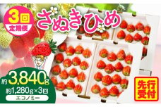 【2026年発送分 先行受付】苺音エコノミー　〜さぬきひめいちご約1,280g〜3回定期便 | おすすめ 人気 果実 果肉 果物 フルーツ デザート 贈り物 苺 さぬきひめ 贈答 ご褒美 ギフト 旬の果物 季節の果物 旬 季節 青果物 香川県 三木町  |_mk137-t001