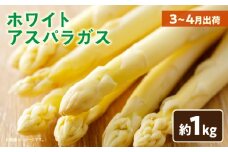 ホワイトアスパラガス約1kg（3～4月出荷）|アスパラ アスパラガス ホワイトアスパラガス 新鮮 素材の味 春野菜 直送 香川県 三木町|_mk002-001