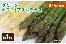 グリーン・ホワイトアスパラガス約1kg（3～4月出荷）|アスパラ アスパラガス ホワイトアスパラガス 新鮮 春野菜 直送 グリーンアスパラガス|_mk002-002
