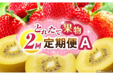 とれたて果物 2回定期便A 果物 フルーツ 果物定期便 フルーツ定期便 定期便 いちご キウイ 濃厚 旬の果物 定期 人気 おすすめ 贈答 贈り物 青果物 糖度 香川県 _mk165-t051