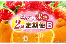 とれたて果物 2回定期便B 果物 フルーツ 果物定期便 フルーツ定期便 定期便 いちご デコポン濃厚 旬の果物 定期 人気 おすすめ 贈答 贈り物 青果物 糖度 香川県 _mk165-t052