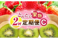 とれたて果物 2回定期便C 果物 フルーツ 果物定期便 フルーツ定期便 定期便 いちご キウイ濃厚 旬の果物 定期 人気 おすすめ 贈答 贈り物 青果物 糖度 香川県 _mk165-t053