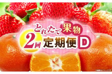 とれたて果物 2回定期便D 果物 フルーツ 果物定期便 フルーツ定期便 定期便 いちご みかん 濃厚 旬の果物 定期 人気 おすすめ 贈答 贈り物 青果物 糖度 香川県 _mk165-t054