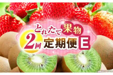 とれたて果物 2回定期便E 果物 フルーツ 果物定期便 フルーツ定期便 定期便 いちご キウイ濃厚 旬の果物 定期 人気 おすすめ 贈答 贈り物 青果物 糖度 香川県 _mk165-t055