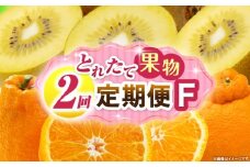 とれたて果物 2回定期便F 果物 フルーツ 果物定期便 フルーツ定期便 定期便キウイ デコポン 濃厚 旬の果物 定期 人気 おすすめ 贈答 贈り物 青果物 糖度 香川県 _mk165-t056