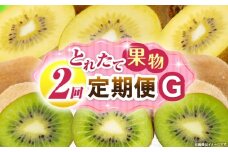 とれたて果物 2回定期便G 果物 フルーツ 果物定期便 フルーツ定期便 定期便キウイ濃厚 旬の果物 定期 人気 おすすめ 贈答 贈り物 青果物 糖度 香川県 _mk165-t057