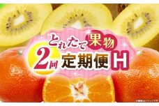 とれたて果物 2回定期便H 果物 フルーツ 果物定期便 フルーツ定期便 定期便 キウイみかん 濃厚 旬の果物 定期 人気 おすすめ 贈答 贈り物 青果物 糖度 香川県 _mk165-t058