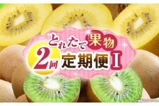 とれたて果物 2回定期便I 果物 フルーツ 果物定期便 フルーツ定期便 定期便キウイ濃厚 旬の果物 定期 人気 おすすめ 贈答 贈り物 青果物 糖度 香川県 _mk165-t059