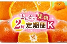 とれたて果物 2回定期便K 果物 フルーツ 果物定期便 フルーツ定期便 定期便 デコポンみかん 濃厚 旬の果物 定期 人気 おすすめ 贈答 贈り物 青果物 糖度 香川県 _mk165-t061
