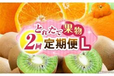 とれたて果物 2回定期便L 果物 フルーツ 果物定期便 フルーツ定期便 定期便キウイ デコポン濃厚 旬の果物 定期 人気 おすすめ 贈答 贈り物 青果物 糖度 香川県 _mk165-t062