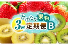 とれたて果物 3回定期便B 果物 フルーツ 果物定期便 フルーツ定期便 定期便 いちご キウイ濃厚 旬の果物 定期 人気 おすすめ 贈答 贈り物 青果物 糖度 香川県 _mk165-t066