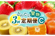 とれたて果物 3回定期便C 果物 フルーツ 果物定期便 フルーツ定期便 定期便 いちご キウイみかん 濃厚 旬の果物 定期 人気 おすすめ 贈答 贈り物 青果物 糖度 香川県 _mk165-t067